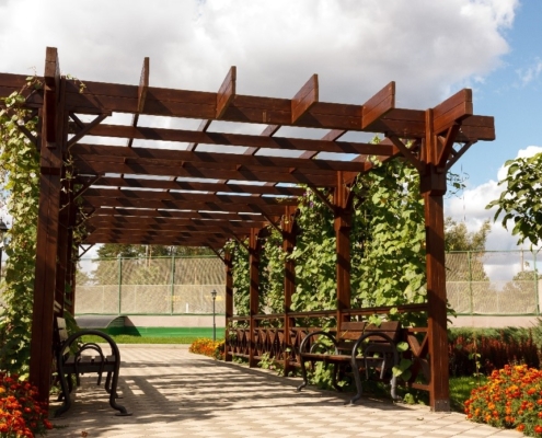 A Patio Garden | Outdoor Patio